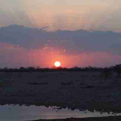 Flot solnedgang, Etosha, Namibia