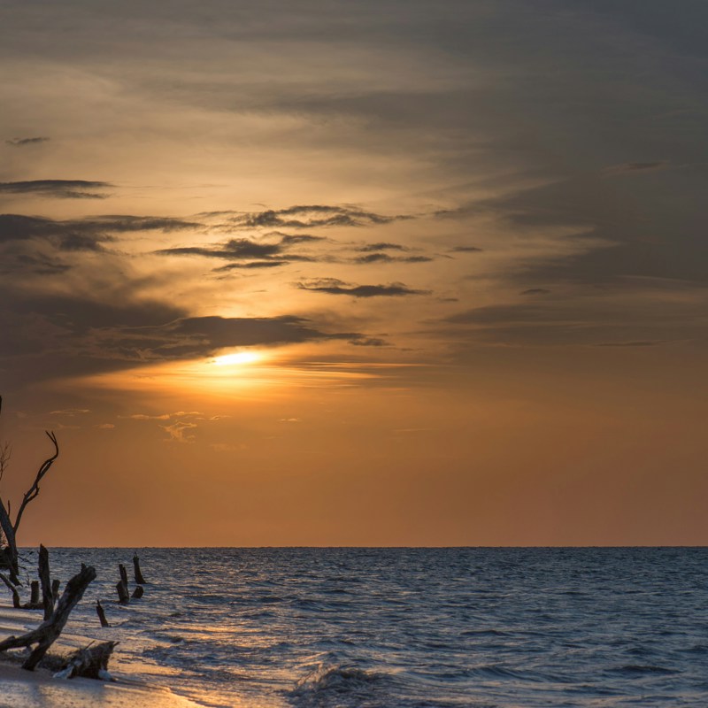 Strand i Surinam