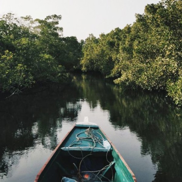Sine Saloum i Senegal