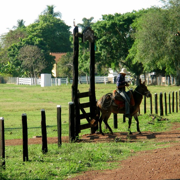 Mark ved Caiman Lodge