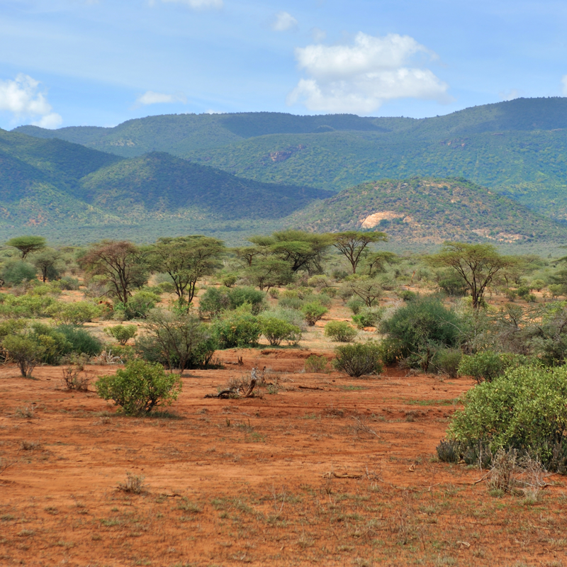 Beautiful savanna with mountains in the background