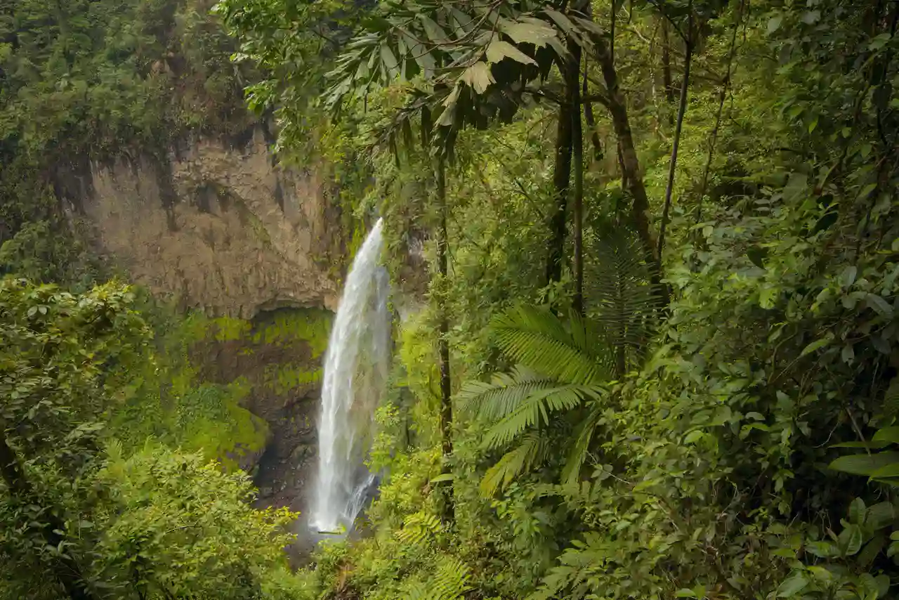 La Fortuna vandfaldet ved Arenal, Costa Rica