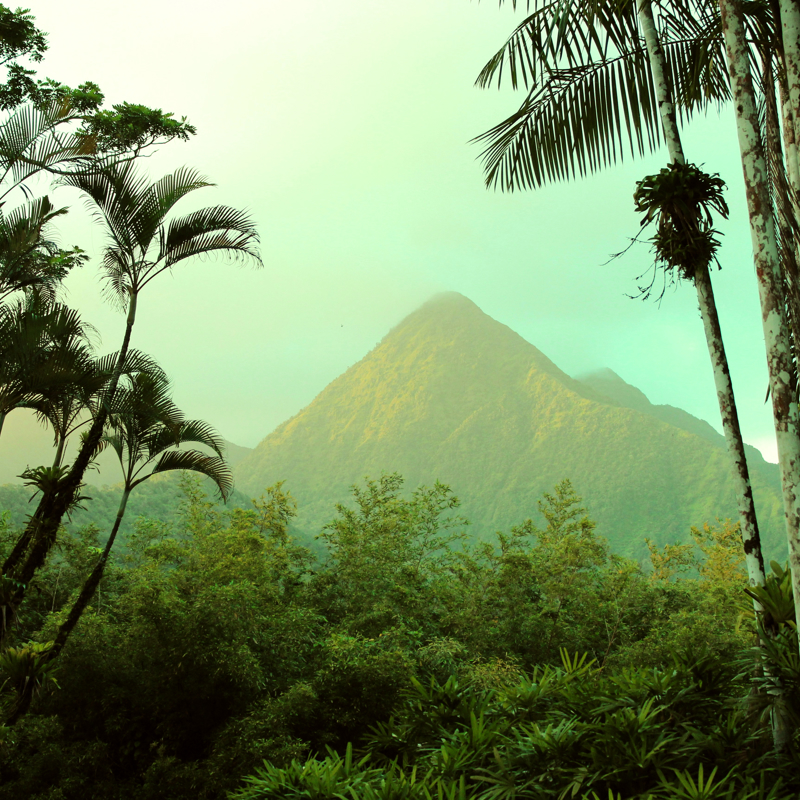 Bjerglandskab på Martinique