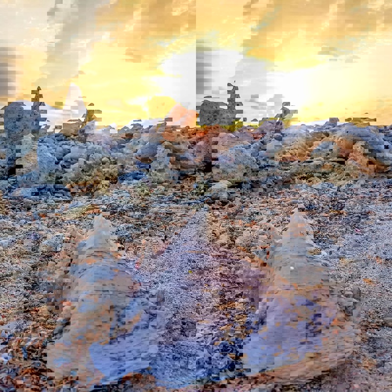 andre-alexander-dEeNHOcQy_U-unsplash