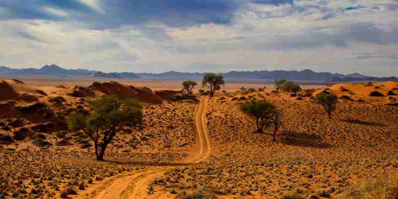 Namibia ørken med sti