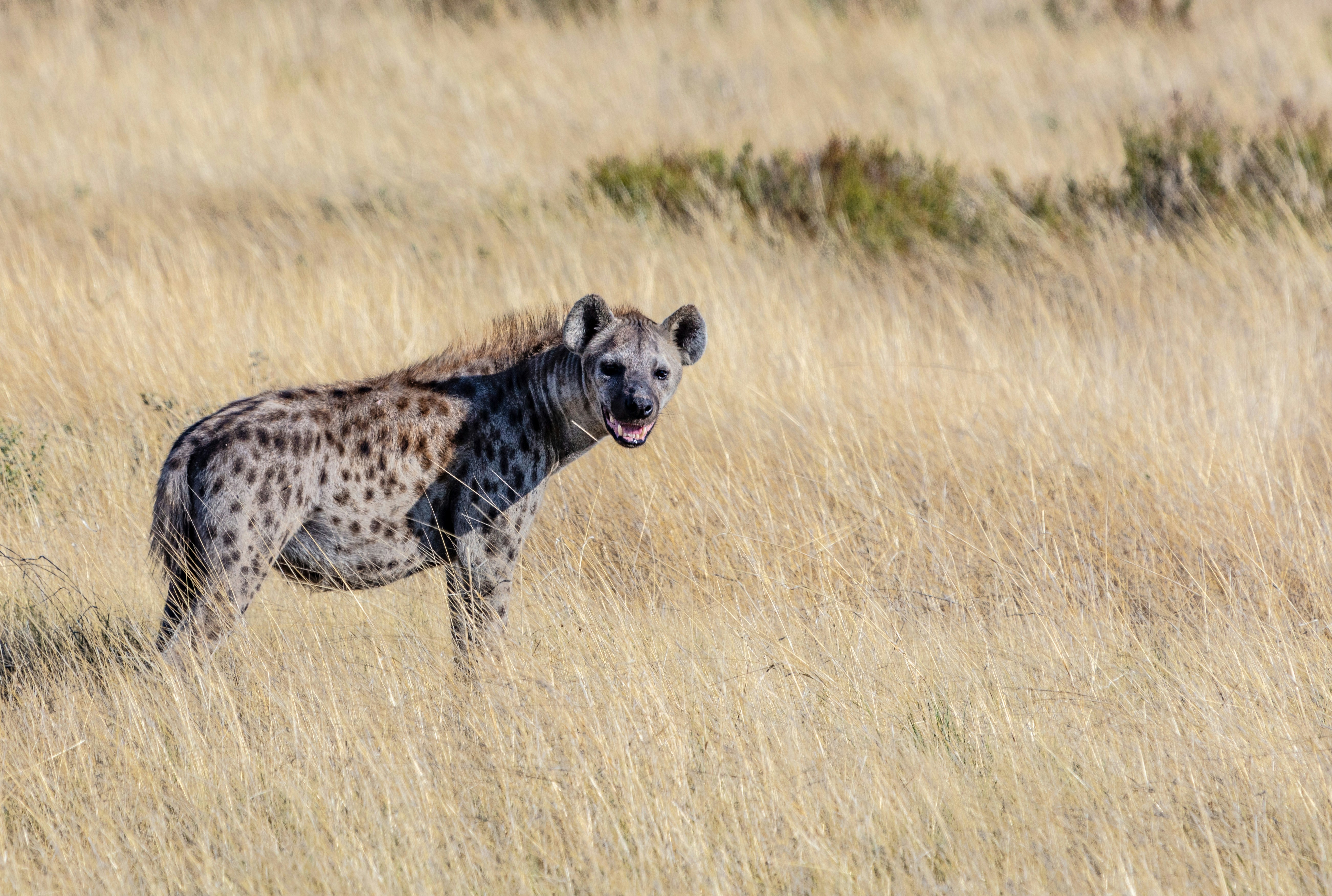 Alan J Hendry 4Pxsslcysb0 Unsplash