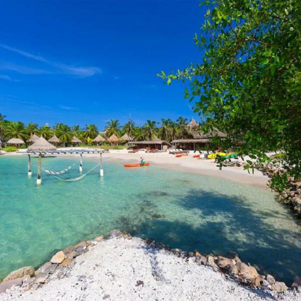 Palmer og strand på Isla Mucura