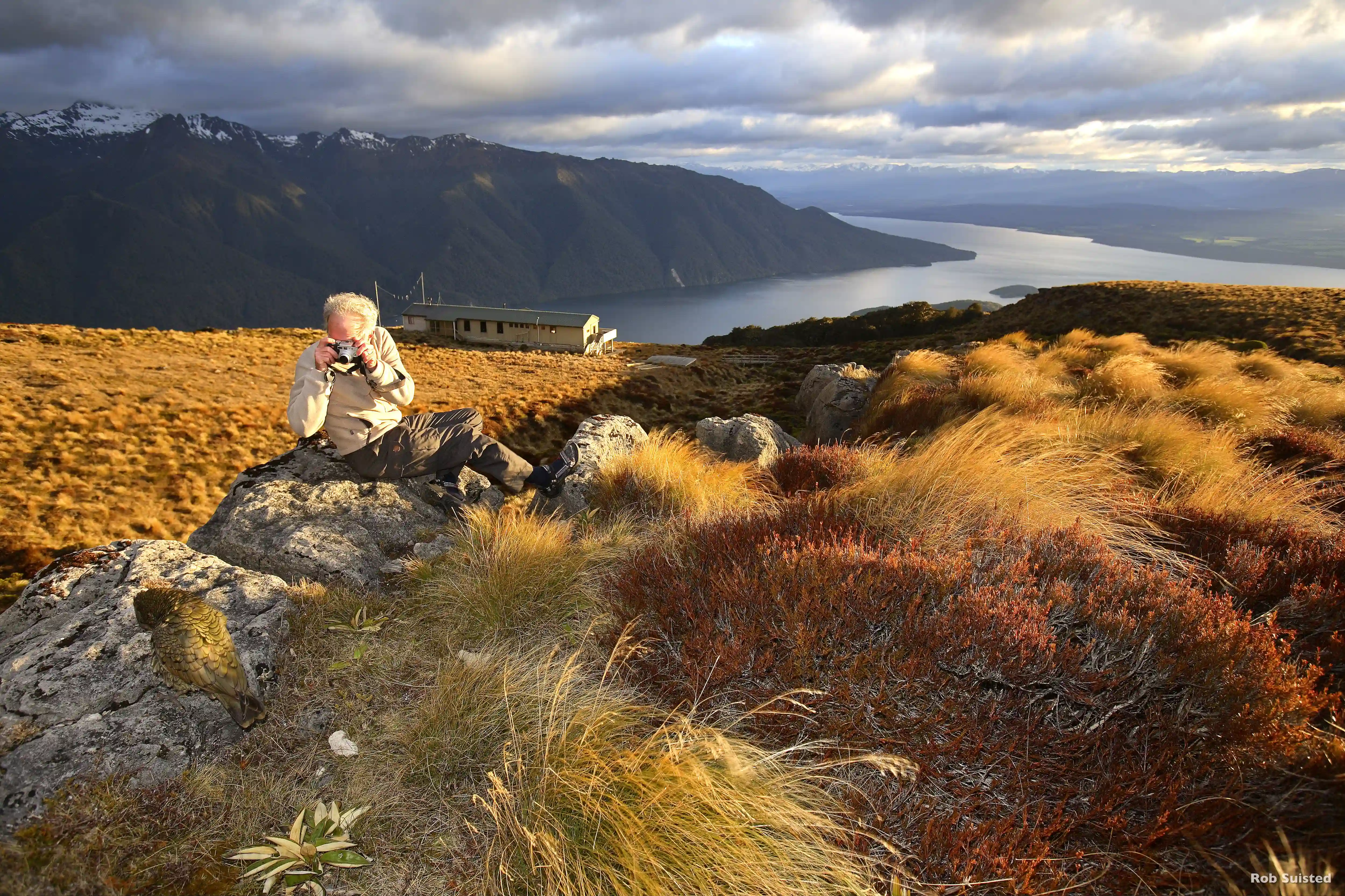 Kepler Track, Fiordland National Park, Fiordland, New Zealand