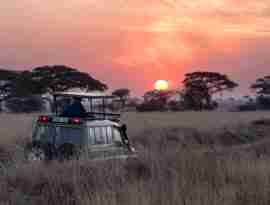 I:\AXUMIMAGES\Afrika\Tanzania\Serengeti\Sunrise