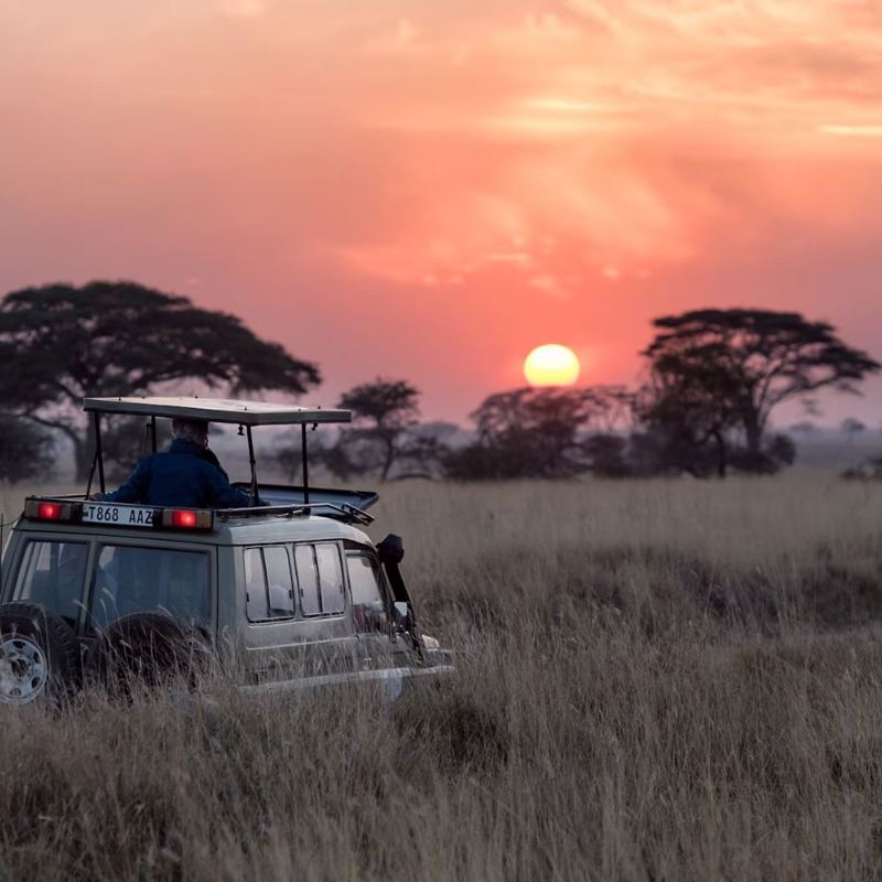 I:\AXUMIMAGES\Afrika\Tanzania\Serengeti\Sunrise