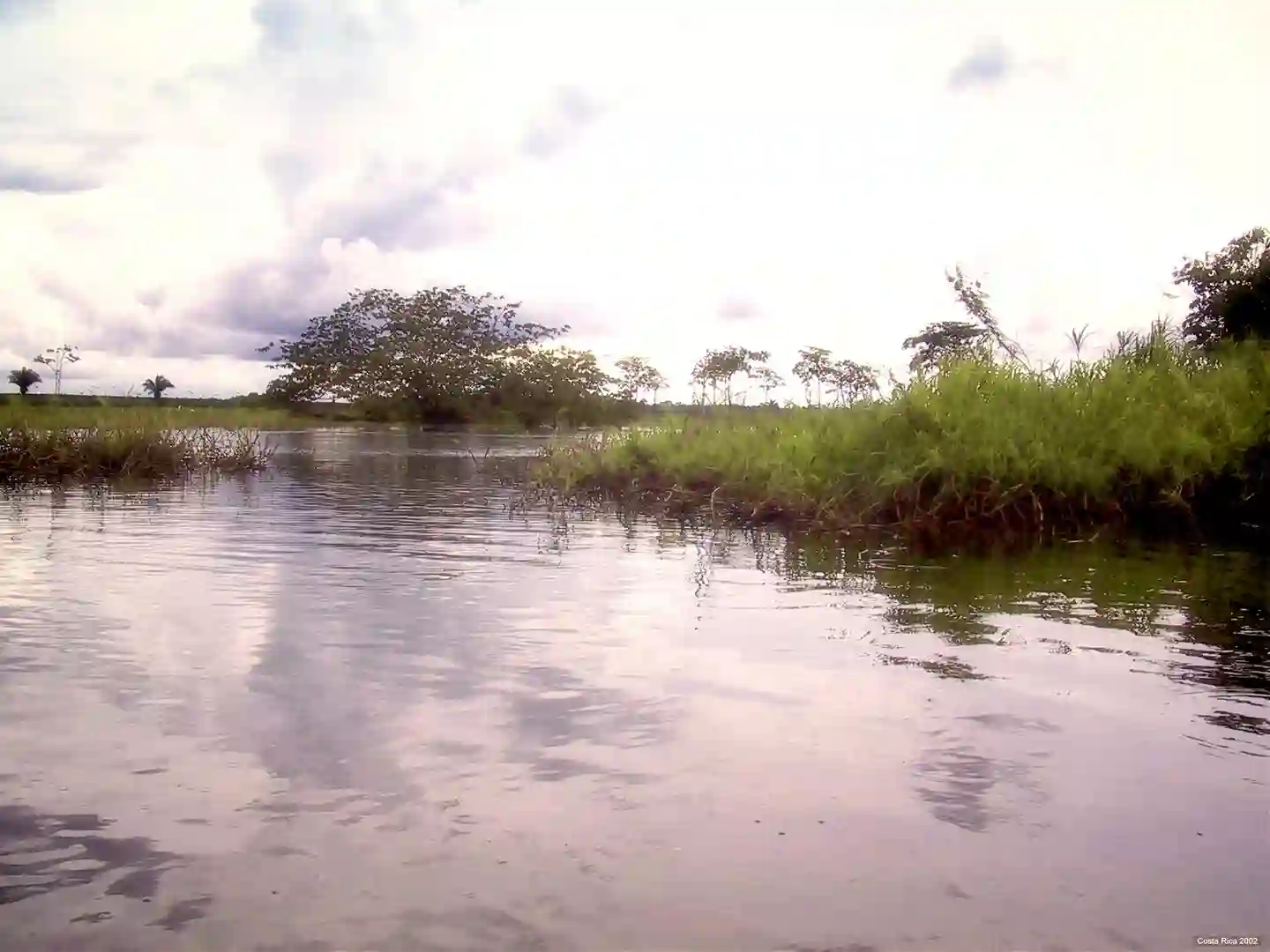 caño negro