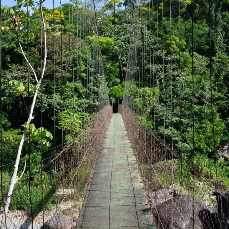 hon_picobonitonpentrance_shutterstock_1106779343-1200x800-c-center