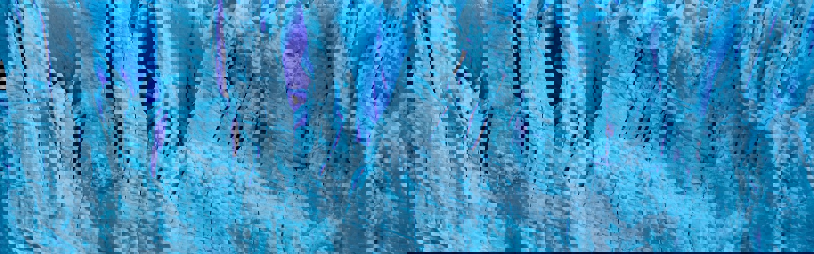 adriana-lorena-benavides-estrada-afyJnOzcCm4-unsplash