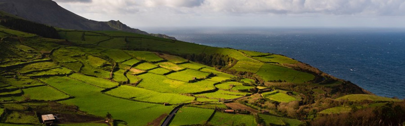 Pico, marker på de bjergrige skråninger