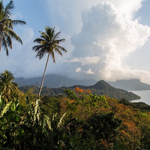 udsigt over del af øen