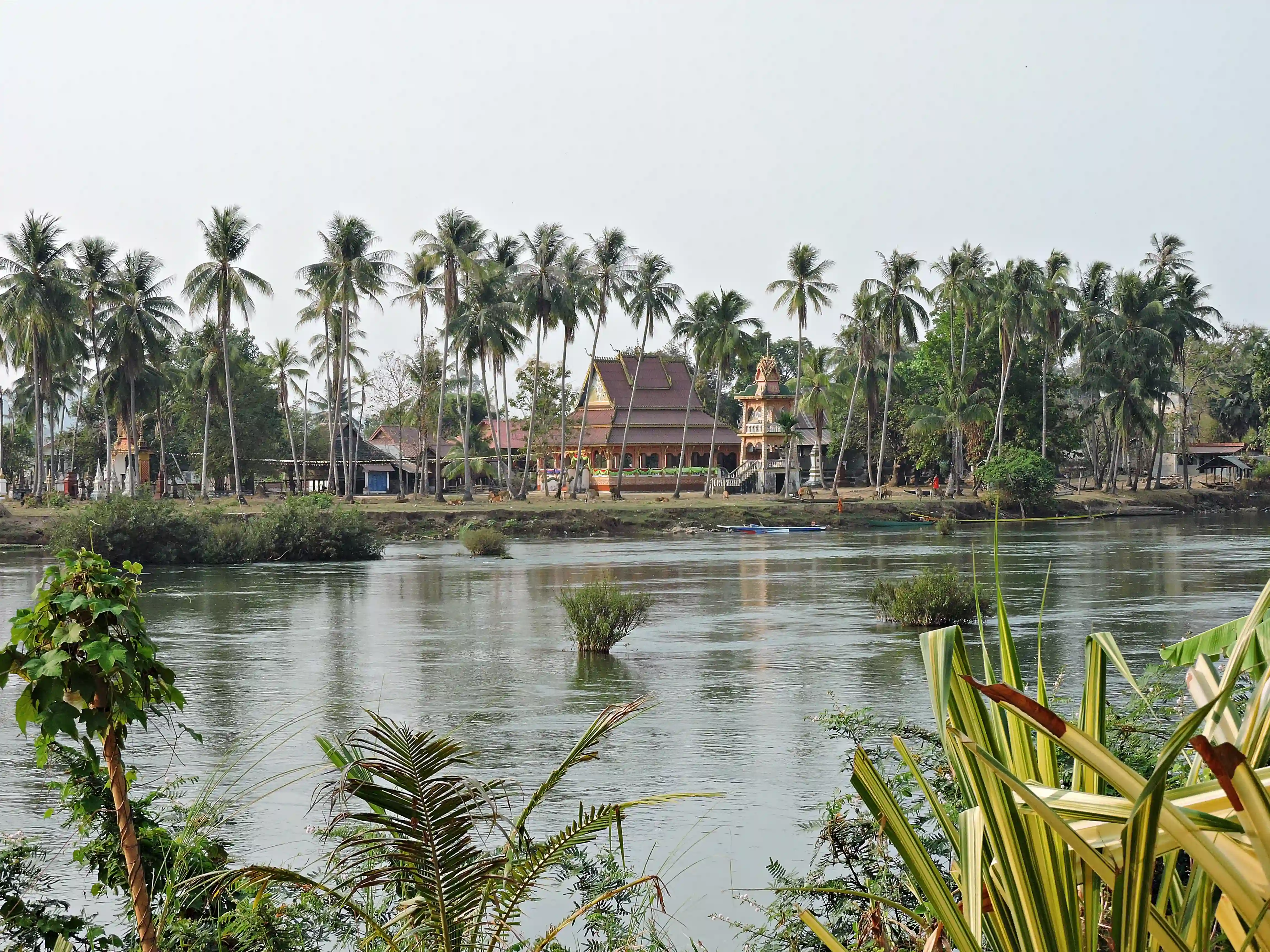 Idyllske omgivelser ved de 4000 øer, Laos