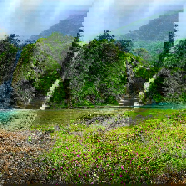 Vandfald og blomster i Salalah, Oman