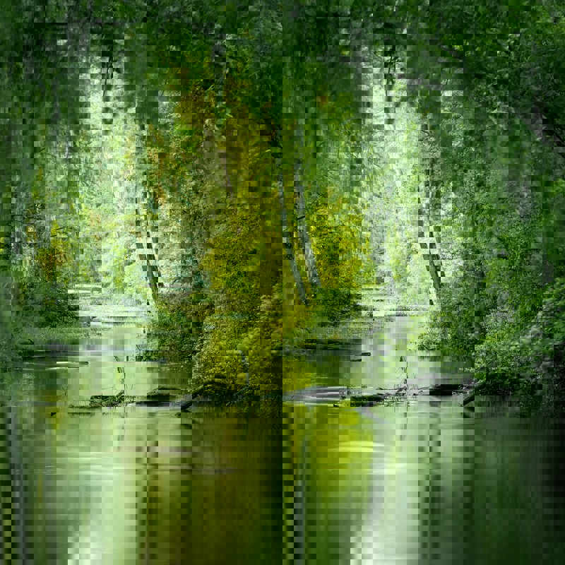 nils-leonhardt-Tss1uOMczDg-unsplash