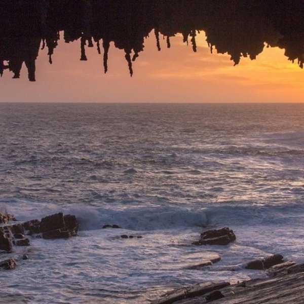 Rejser til Kangaroo Island