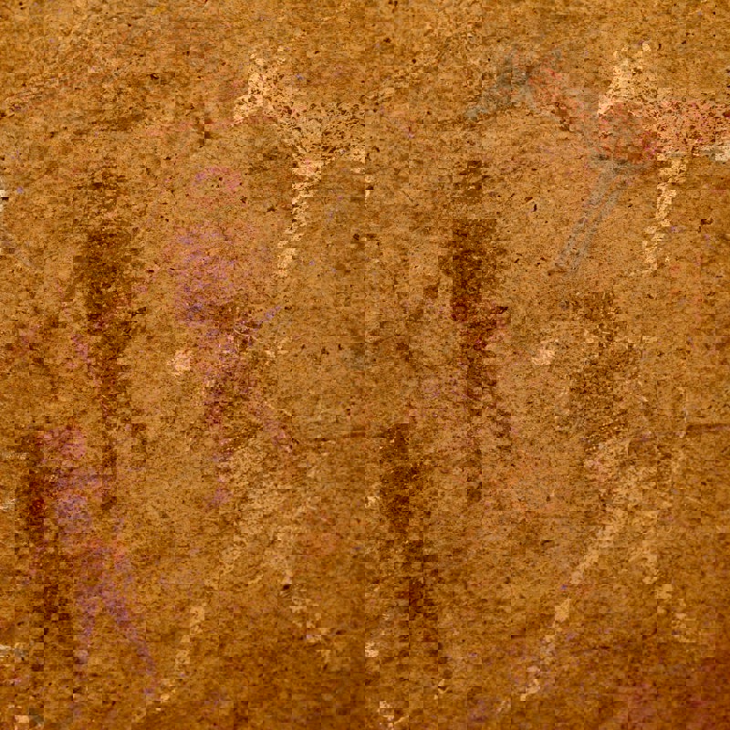 peter-burdon-oDv2Lft6610-unsplash