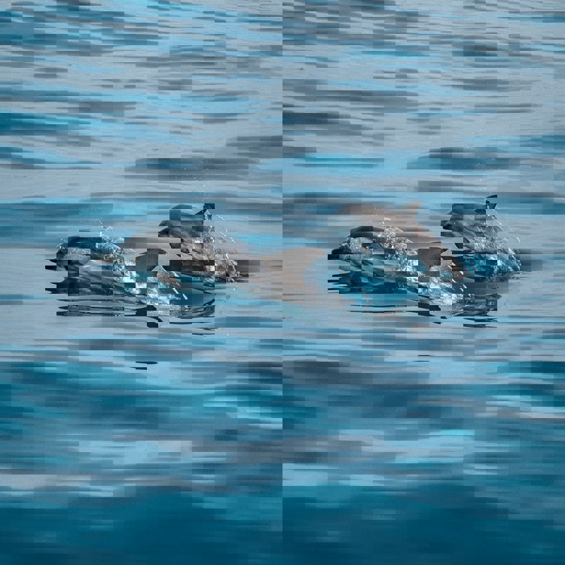 jonas-von-werne-wN6EybHR2x8-unsplash