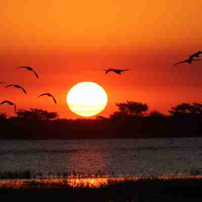 I:\AXUMIMAGES\Afrika\Botswana\Chobe\Flot solnedgang i Chobe National Park, Botswana