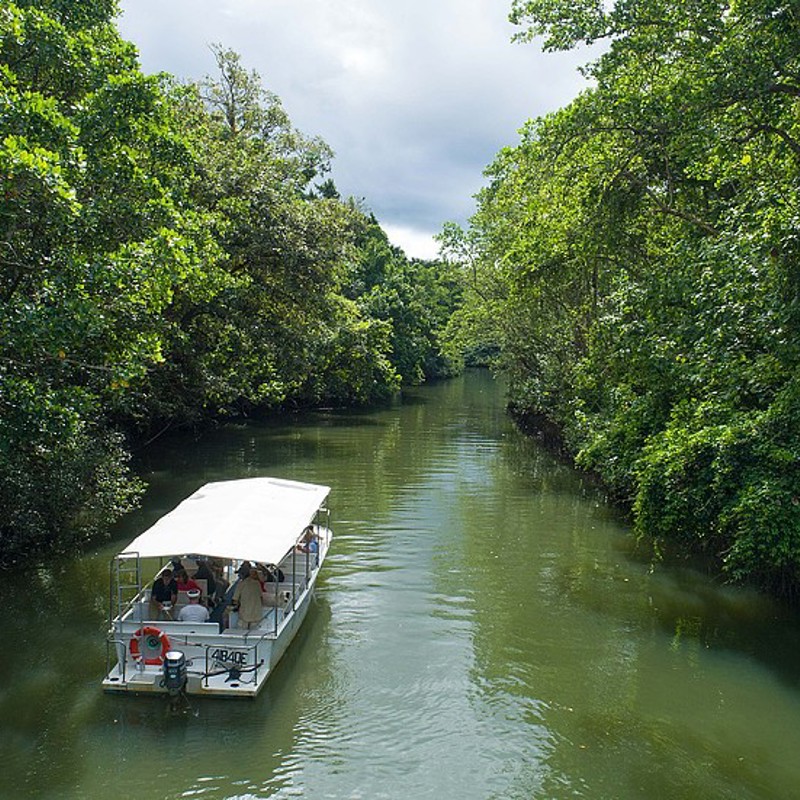 2017-BILLYTEA-0829SJI-Cruise-0045