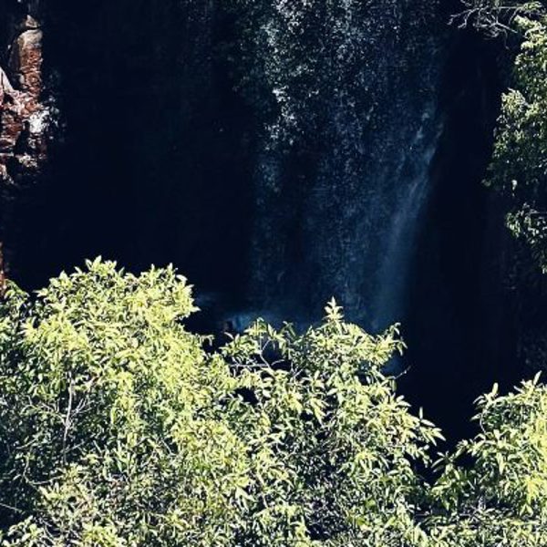 Rejser til Litchfield National Park