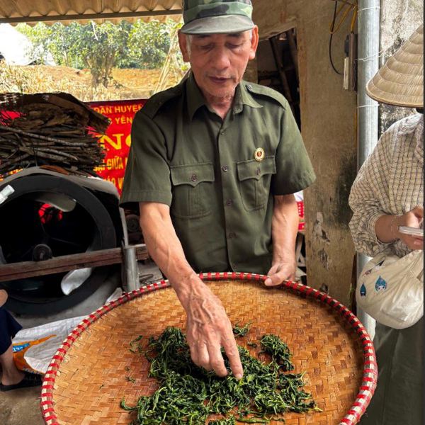 Ba Vi Eco - Vietnam