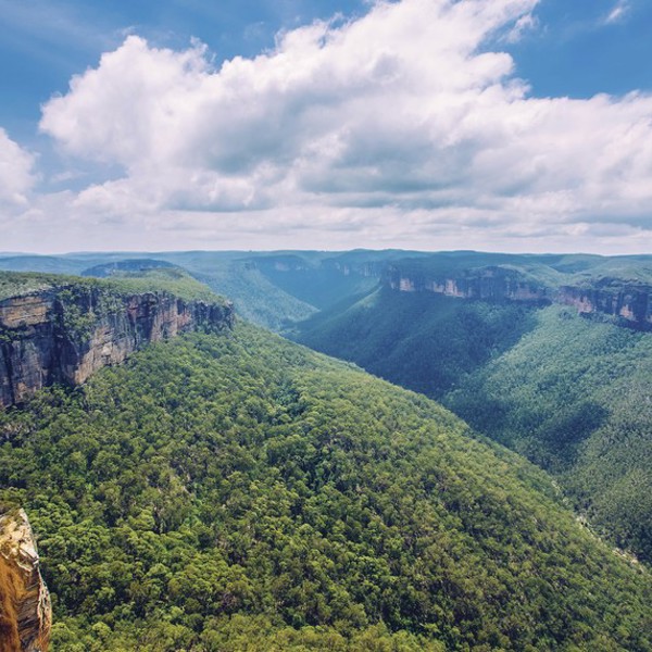 Dalen er smuk og grøn, Blue Mountians, Australien