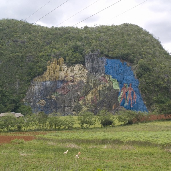 viñales muren