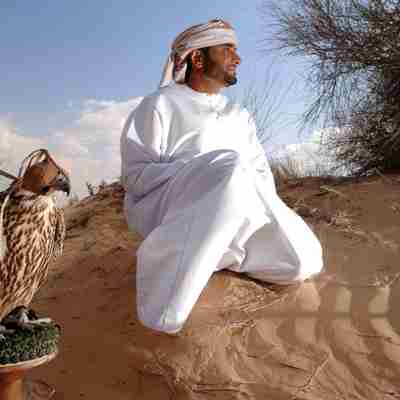 Forenede Arabiske Emirater, ørken