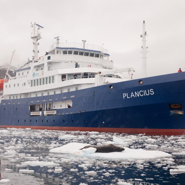 Skibet er bygget til at kunne sejle gennem isen, Antarktis