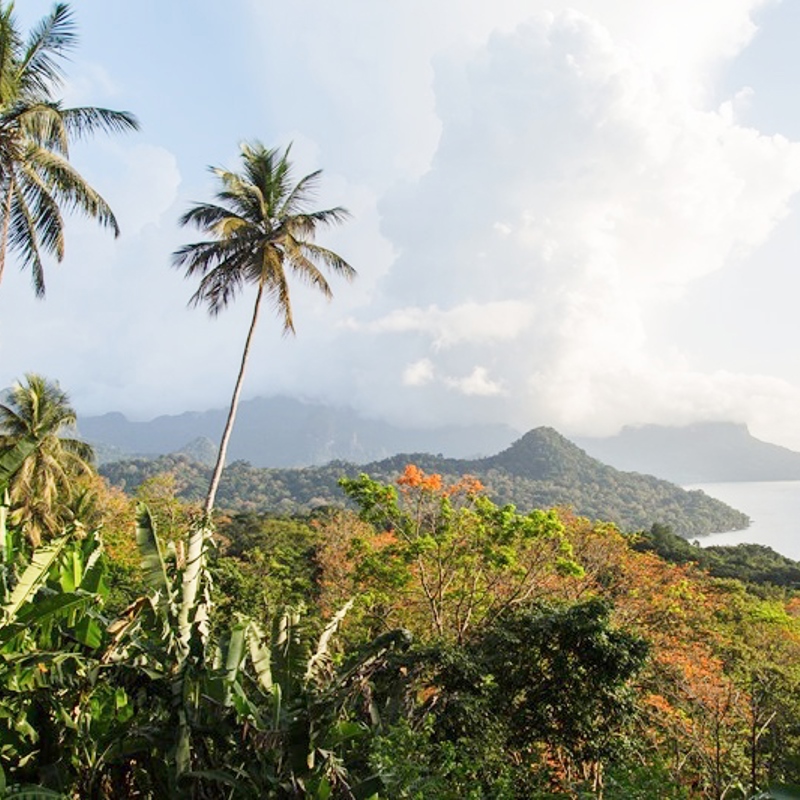 palme, principe og natur - redigeret