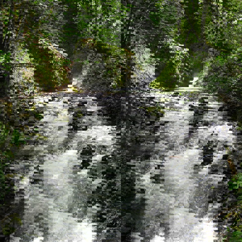 jack-smith-sCX1bjUedNk-unsplash