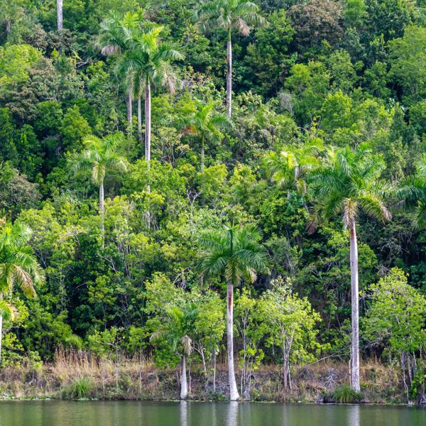 Sierra del Rosario cuba