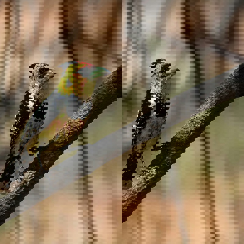 hendrik-prinsloo-Ibvlna5mnR4-unsplash