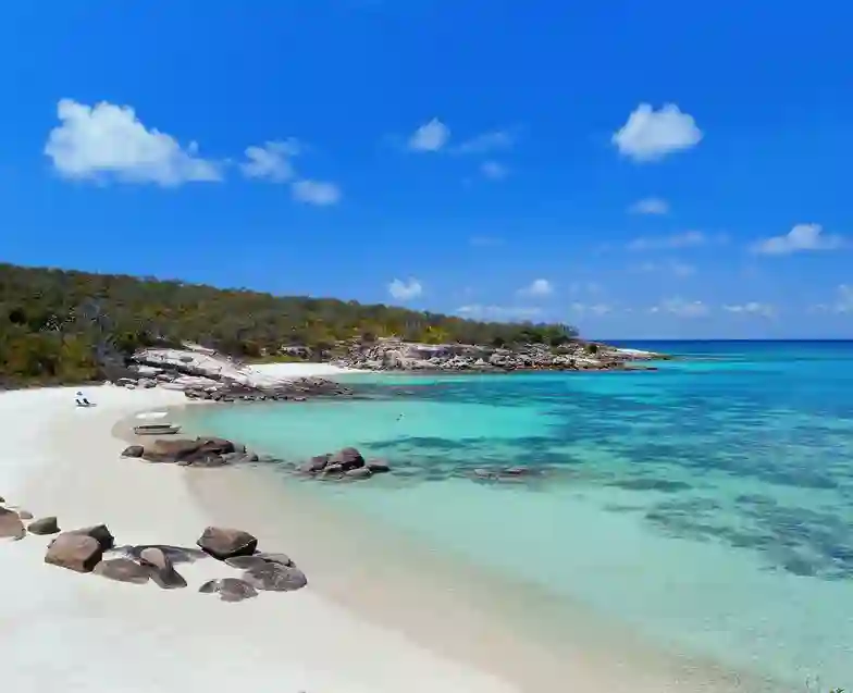 I havet - midt på Great Barrier Reef - i det tropiske nordlige Queensland ligger en ganske særlig ø; Lizard Island. Kaptajn Cook gav øen sit navn, da han sejlede forbi i 1770. Det eneste, han så på øen, var et par firben (lizards) - altså blev det til Liz