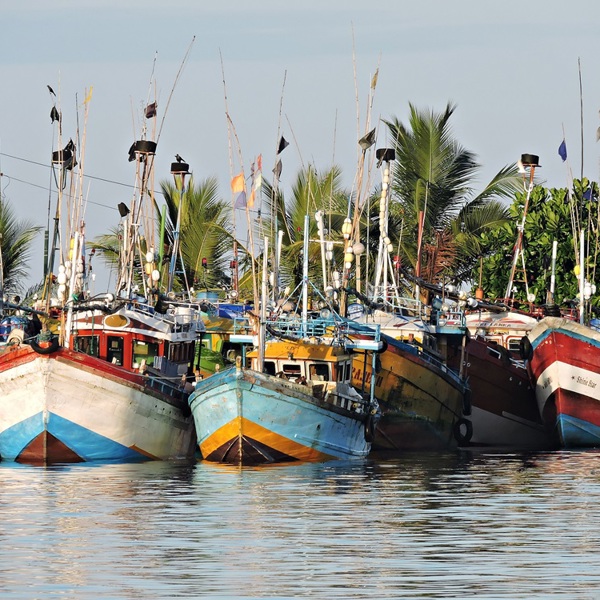 Lokale fiskerbåde, Mirissa, Sri Lanka