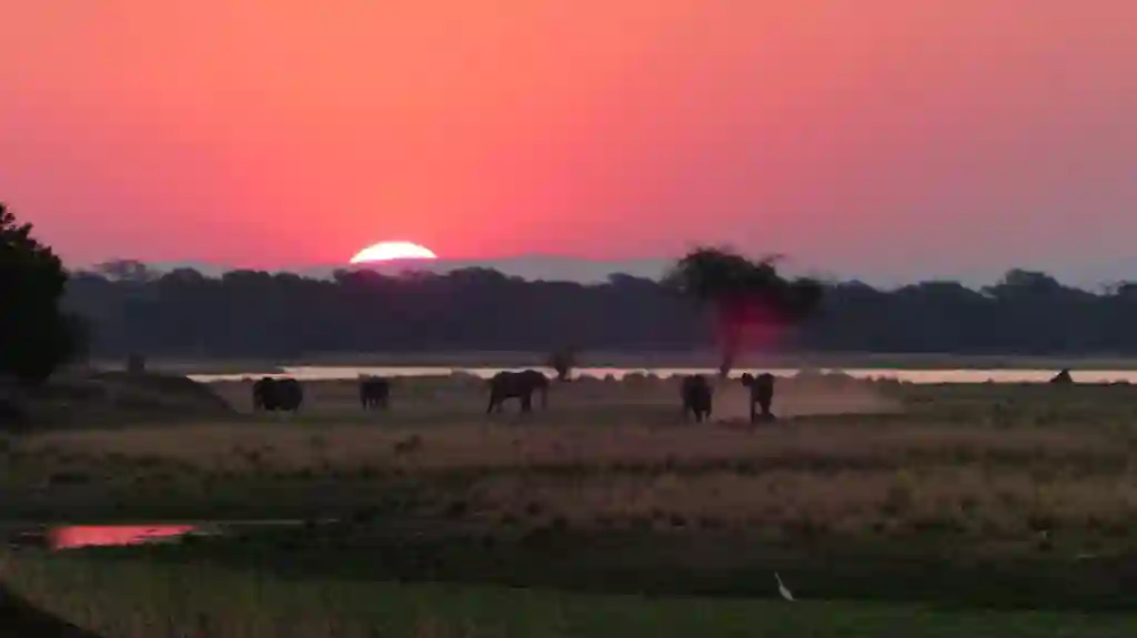 Solnedgang og en flok elefanter i Mana Pools