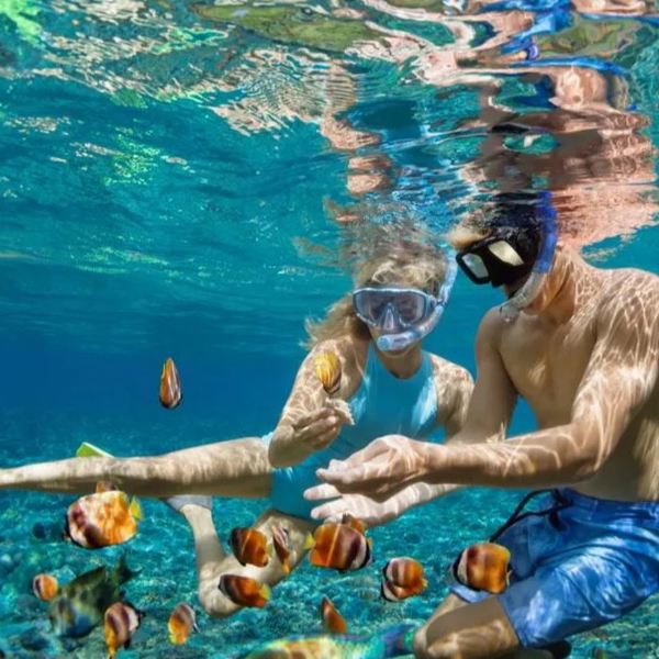 Zanzibar - snorkling
