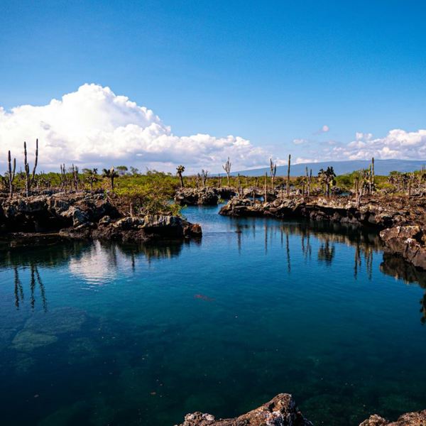 Galapagos - Isla Isabela - Landscape