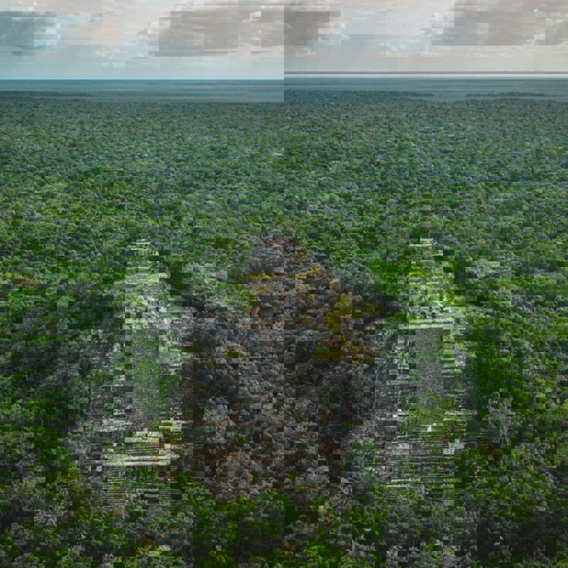 vistas-carakmul