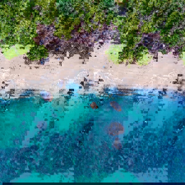 Krystalklart vand og hvide sandstrande på Grenada