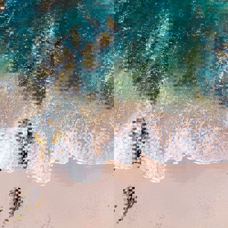 jezael-melgoza-EZzB7L4KgNU-unsplash