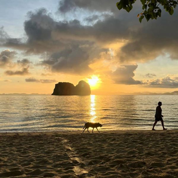 Koh Ngai - solnedgang