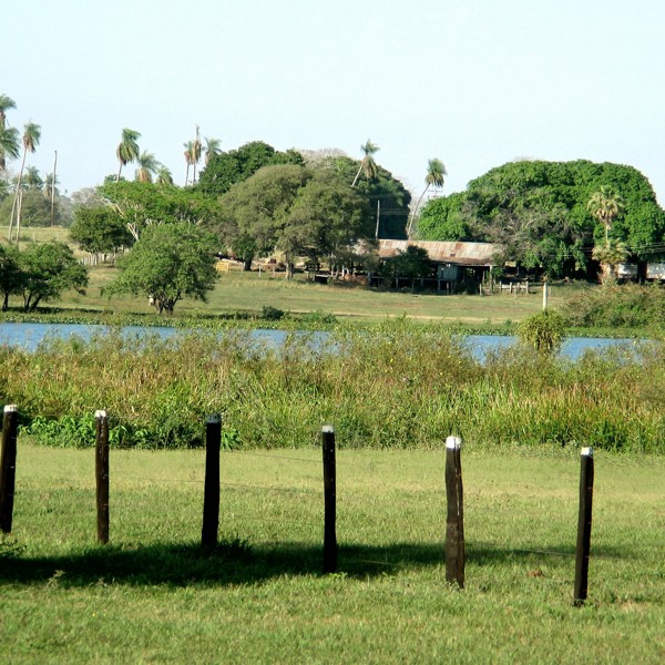 Mark ved Caiman Lodge
