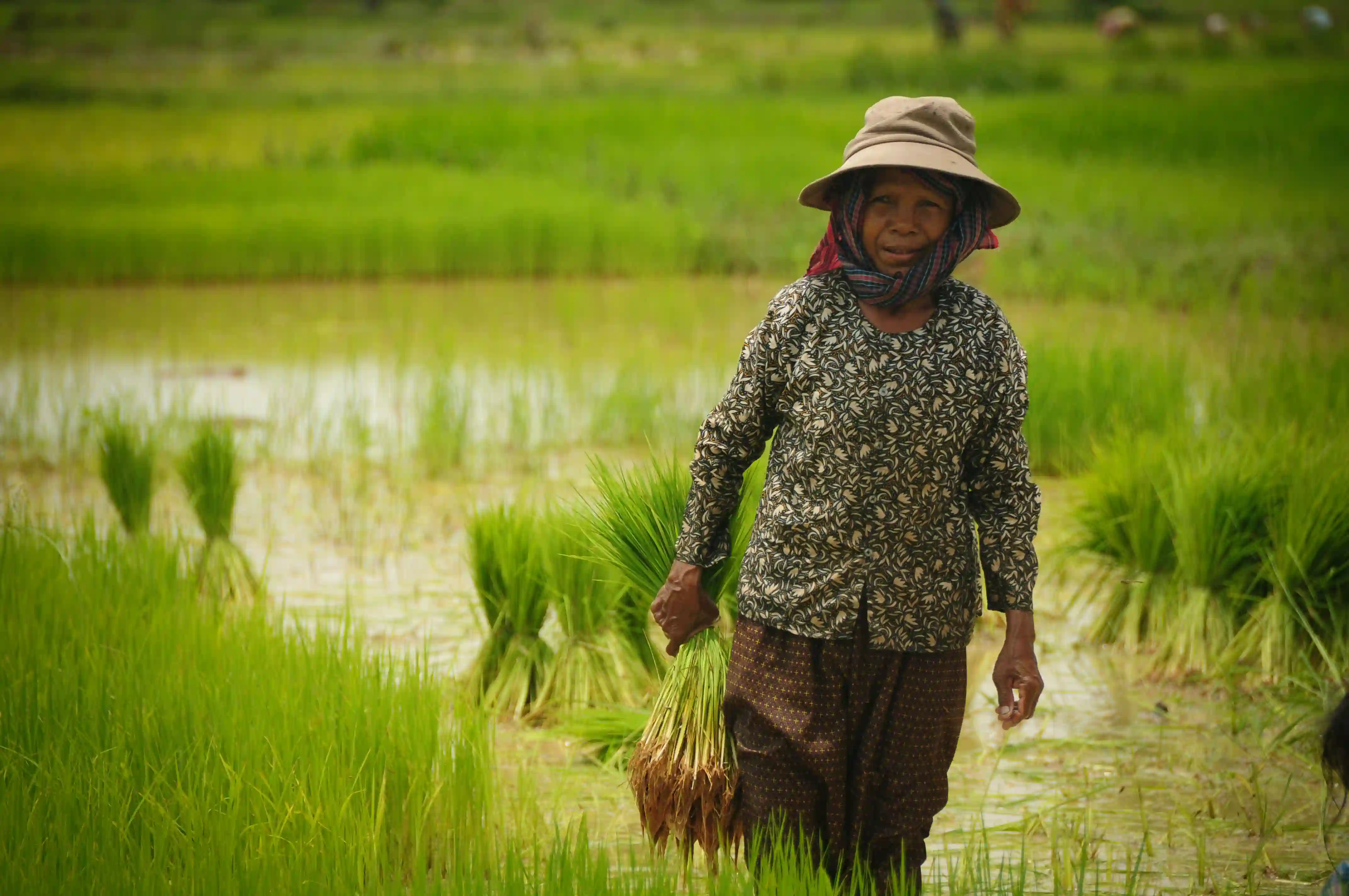 På vej hjem fra dagens arbejde, Siem Reap, Cambodia