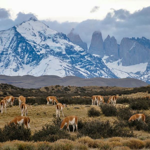 Torres del Paine