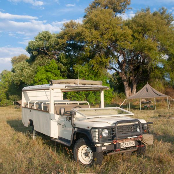 Safari Botswana